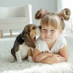 Finding Your Perfect Puppy: A Journey Of Joy And Responsibility