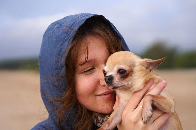 Humans Heal with Dogs